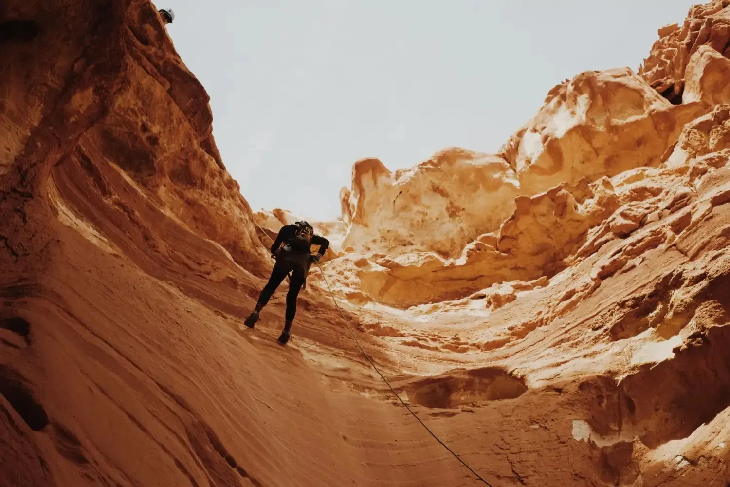 Climbing Harnesses