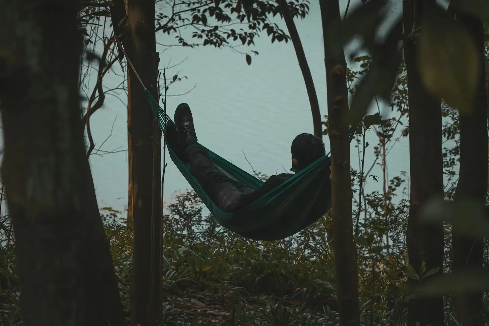 Chairs and Hammocks