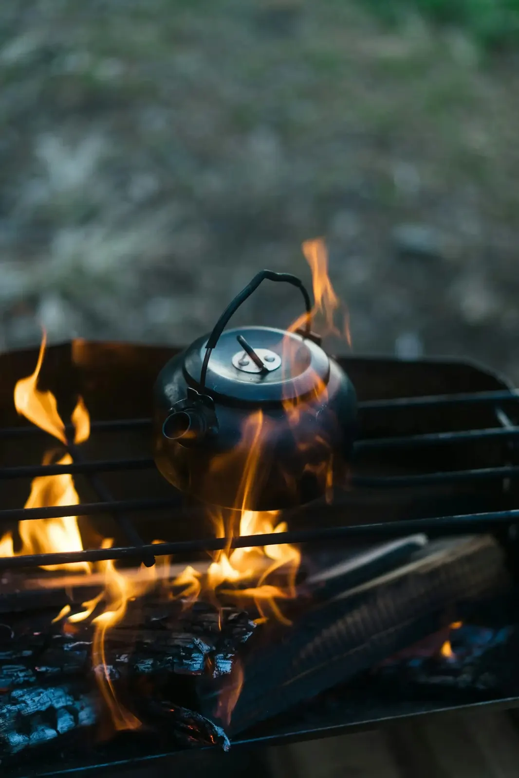 Camp Cooking and Utensils